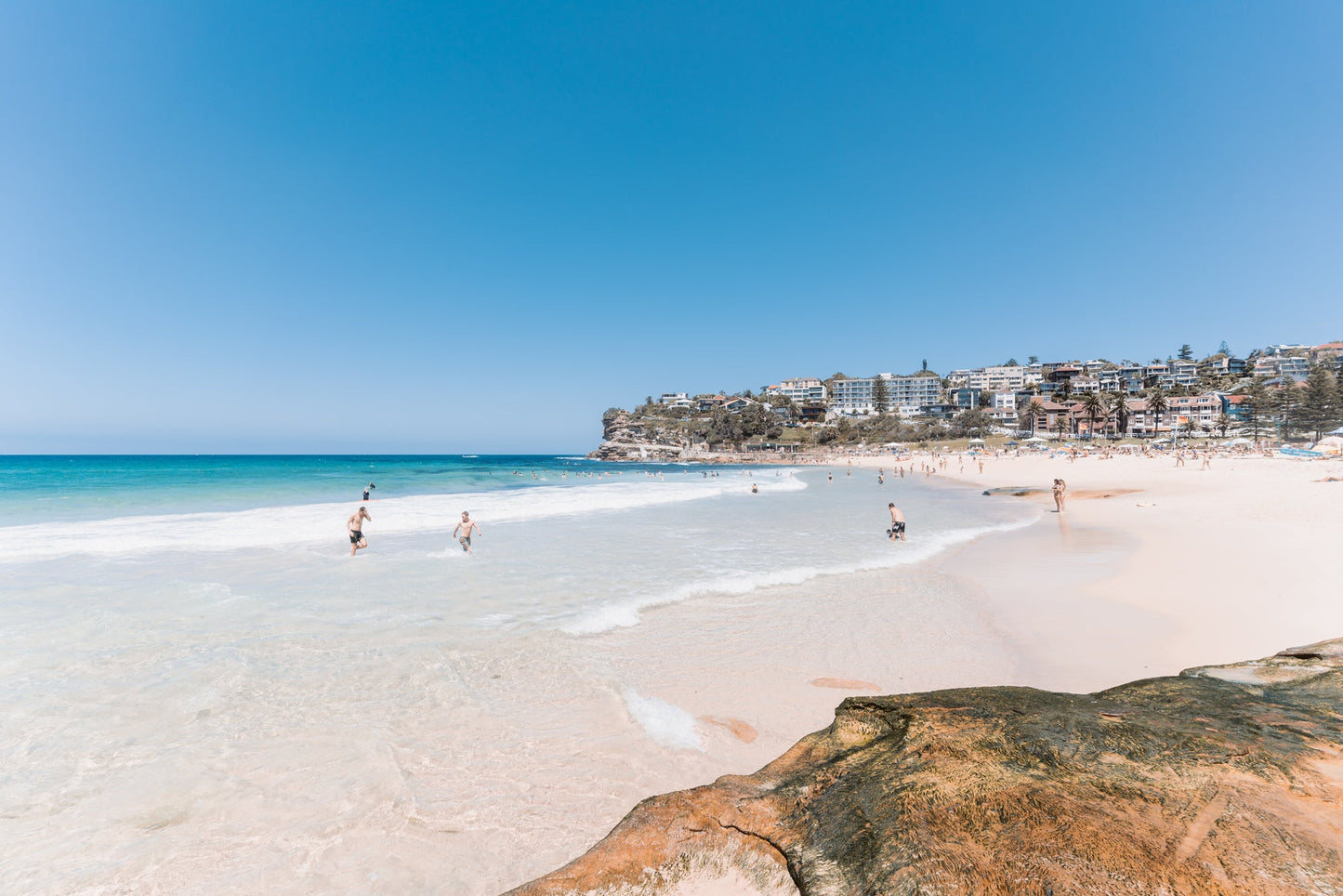 Cold Bronte