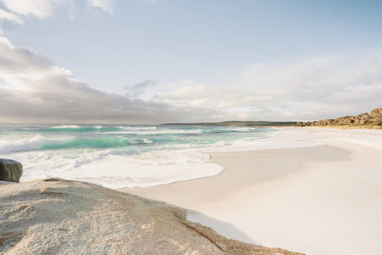 Tassie Oasis