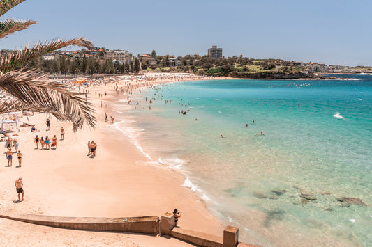 Coogee Palms